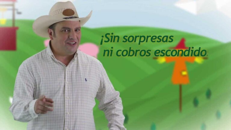 Amigo Credit: La solución optimizada para tus necesidades financieras