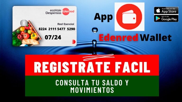 Consulta f&aacute;cil y r&aacute;pida de saldo de vales de despensa