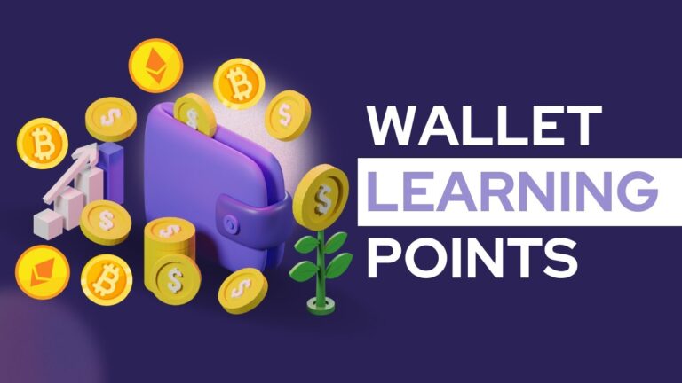La Billetera de Puntos: Una Soluci&oacute;n Optimizada y Concisa