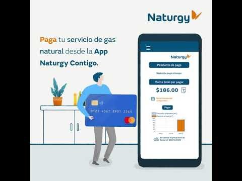 Pagos en línea: La forma más conveniente de pagar tu factura de Naturgy
