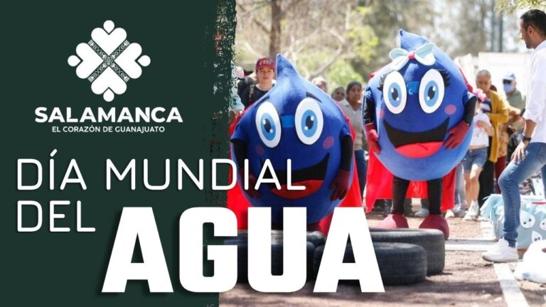 Oomsapas: Simplifica tus pagos con el nuevo servicio en l&iacute;nea