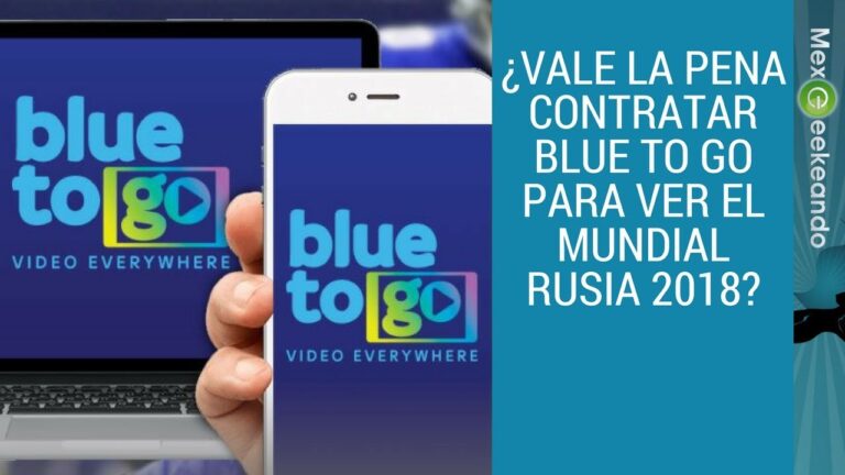 Gu&iacute;a pr&aacute;ctica para contratar Blue to Go de manera eficiente