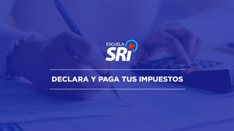 Declara y paga: La gu&iacute;a definitiva para cumplir con tus obligaciones fiscales