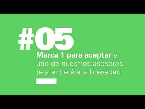 Consejos para establecer un convenio con CFE de manera efectiva