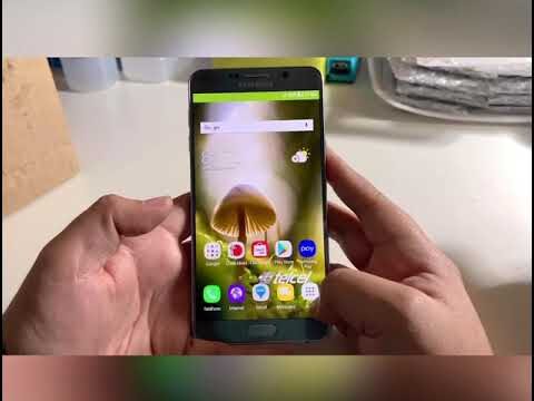 Obt&eacute;n f&aacute;cilmente el NIP de un chip en simples pasos