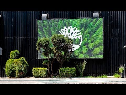 Timberland azules: La opci&oacute;n perfecta para un estilo casual y moderno