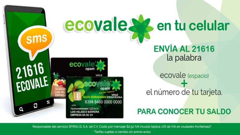 Consulta de saldo en Ecovale de manera f&aacute;cil y r&aacute;pida desde tu celular