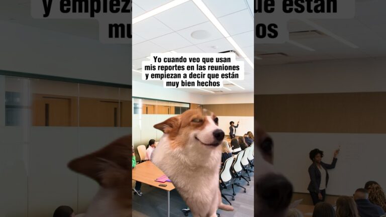 Errores y Soluciones: C&oacute;mo evitar reportes incorrectos
