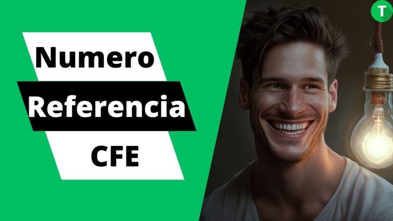 Guía para encontrar tu número de referencia CFE