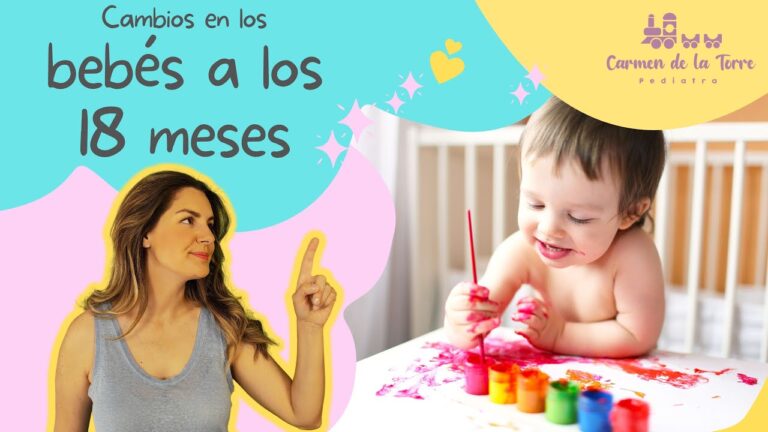&iquest;Cu&aacute;nto es 18 meses? Una gu&iacute;a pr&aacute;ctica y concisa