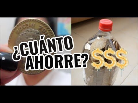 El desaf&iacute;o de los 10 pesos: &iquest;De qu&eacute; se trata?