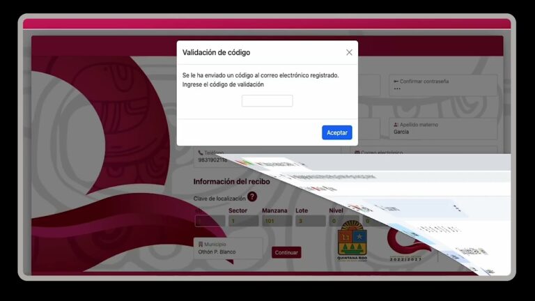 Pago en l&iacute;nea: La Capa que Optimiza tus Transacciones