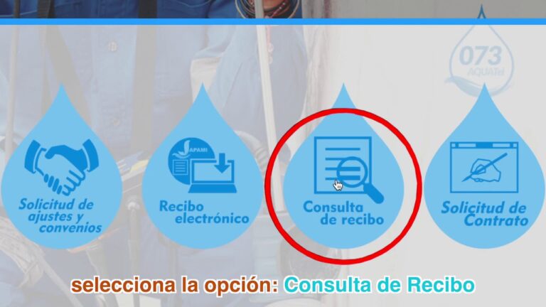 Japami en l&iacute;nea: La soluci&oacute;n digital para tus servicios de agua