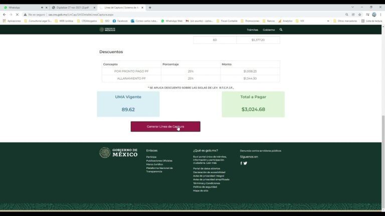 Optimizaci&oacute;n de la l&iacute;nea de captura para infracciones federales