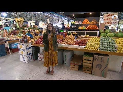 Descubre las maravillas de Mi Mercado Tlalcoligia
