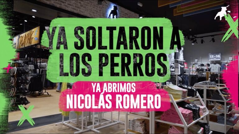 Gu&iacute;a de las mejores tiendas en el centro de Nicol&aacute;s Romero