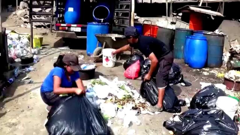 Antara Bolsa de Trabajo: Tu Mejor Opci&oacute;n Laboral