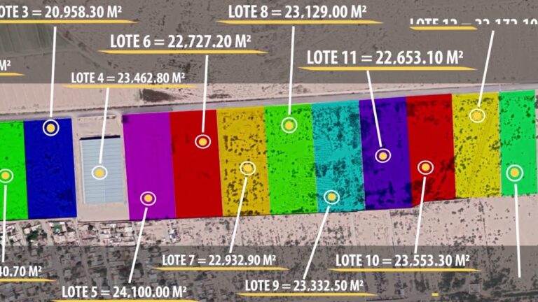 Colonia Torre&oacute;n 2000: Historia, Desarrollo y Caracter&iacute;sticas