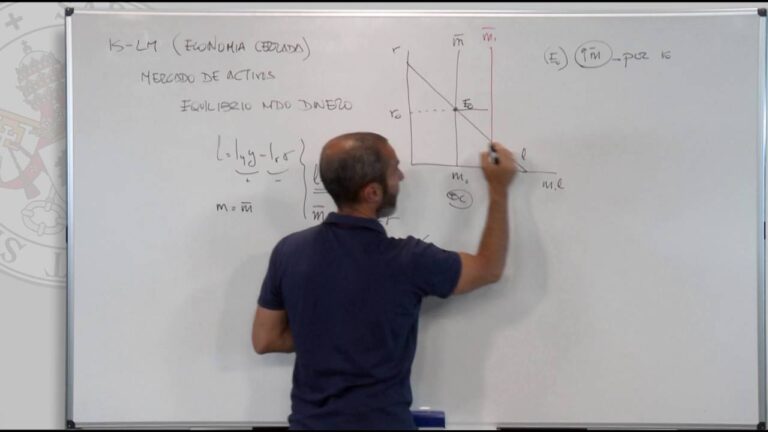 El Mercado de Activos en la Macroeconom&iacute;a: An&aacute;lisis y Perspectivas