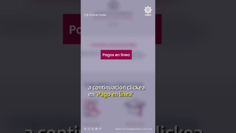 Pago en l&iacute;nea: Control vehicular Puebla