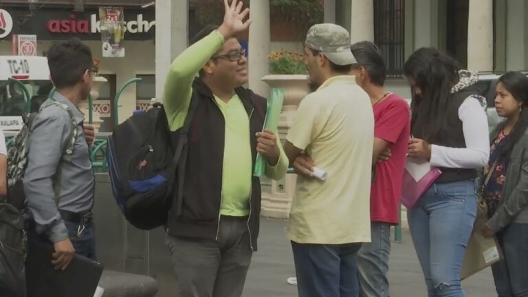 Empleo en Veracruz: Bolsa de Trabajo del Gobierno