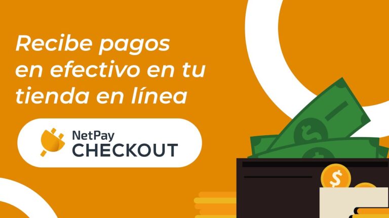 Netpay: La Soluci&oacute;n Ecommerce Optima