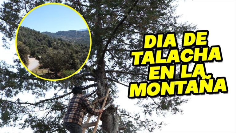 Trabajos desde casa en Oaxaca: Oportunidades laborales flexibles