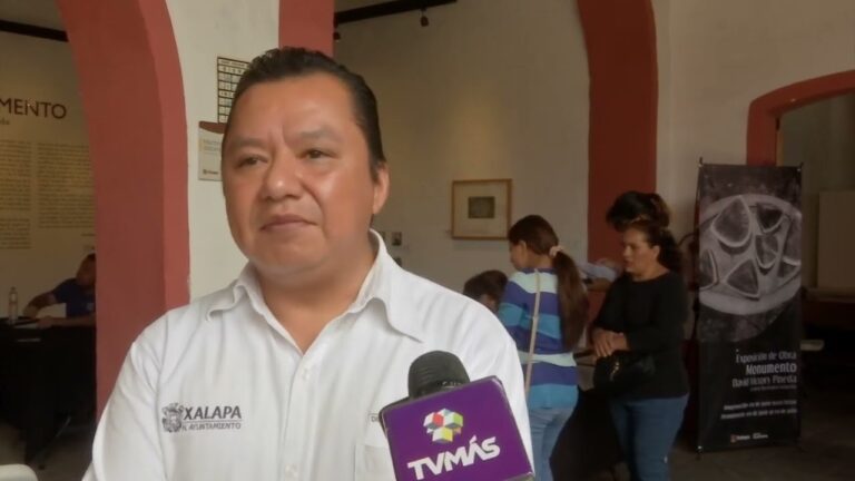Trabajos en Xalapa: Oportunidades Laborales para Principiantes