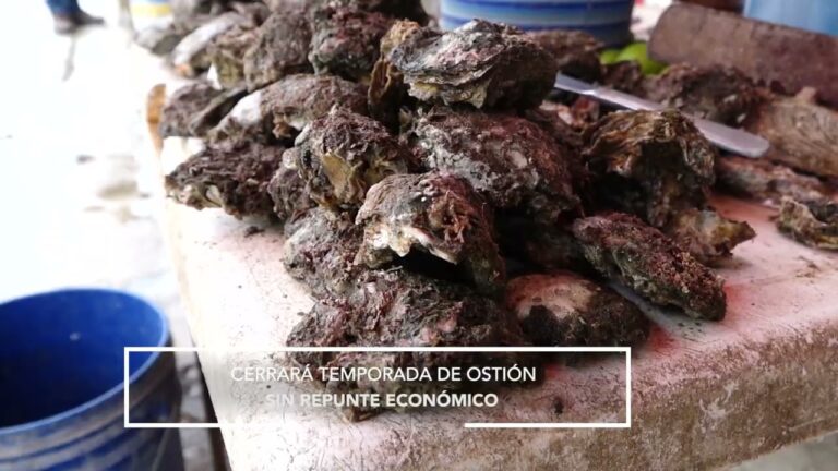 Platillo emblem&aacute;tico de Salina Cruz: Delicia coste&ntilde;a