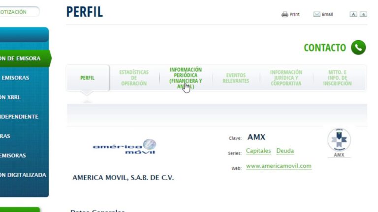 C&oacute;mo descargar estados financieros de la BMV