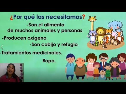 C&oacute;mo proteger las plantas: consejos efectivos