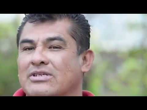 Gu&iacute;a Esencial: &iquest;Qu&eacute; es un Promotor de Cr&eacute;dito?