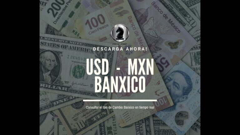 Directorio de Banxico: Conoce a los l&iacute;deres clave del Banco de M&eacute;xico