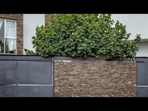 Bugambilias: La Casa de Cambio Ideal