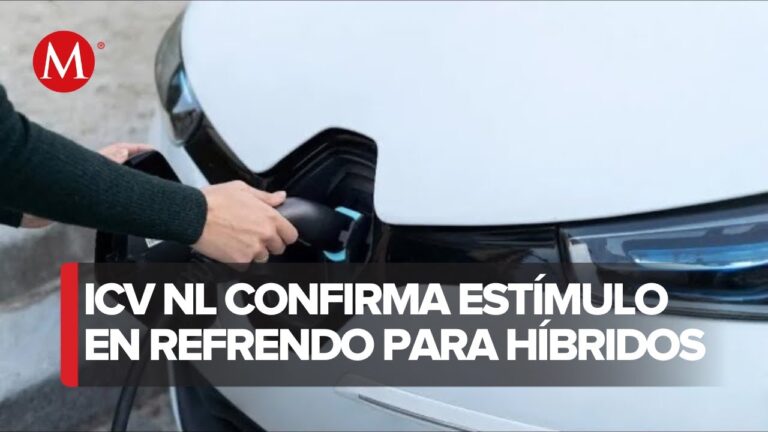 Todo lo que necesitas saber sobre el pago de refrendo 2024 en Nuevo Le&oacute;n