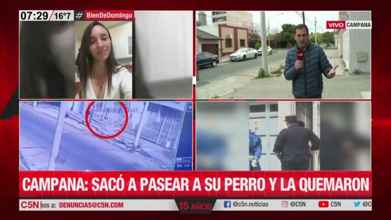 Chedraui Anfora: Encuentra Empleo en la Bolsa de Trabajo