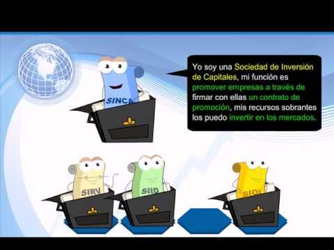 Tipos de Sociedades de Inversi&oacute;n: Una Gu&iacute;a Concisa
