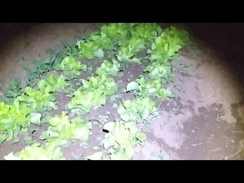 Los desaf&iacute;os de los trabajos nocturnos en Oaxaca