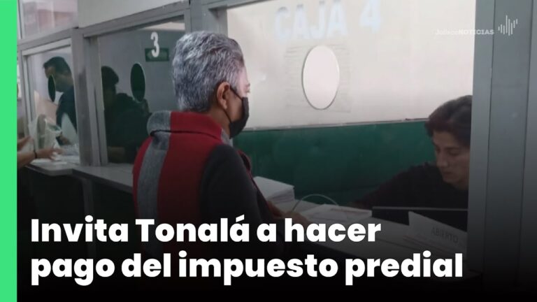 C&oacute;mo realizar el pago de predial en Tonal&aacute;