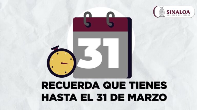 Renovación de Licencia en Sinaloa: Todo lo que Necesitas Saber