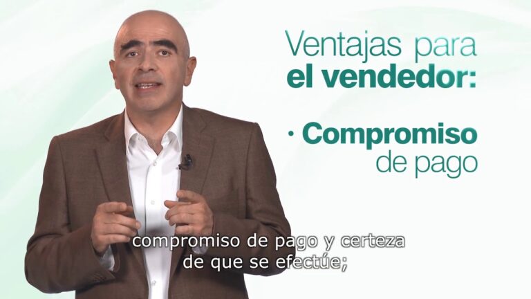 Formato de Carta de Cr&eacute;dito de Exportaci&oacute;n: Gu&iacute;a Concisa