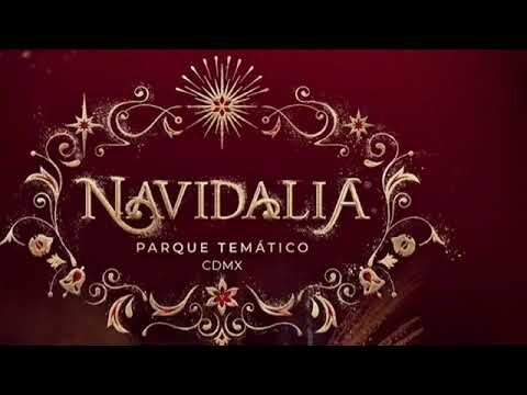 Navidalia: Explorando la Magia de Alameda Poniente