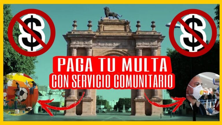 Gu&iacute;a para el Pago de Infracciones en Le&oacute;n