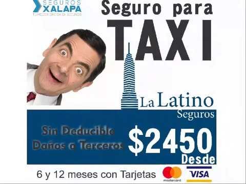 Seguros Latino: Protege tu patrimonio en Xalapa