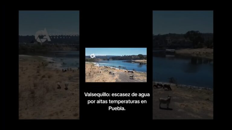El impacto de Megacable en Valsequillo: &iquest;Beneficio o perjuicio?
