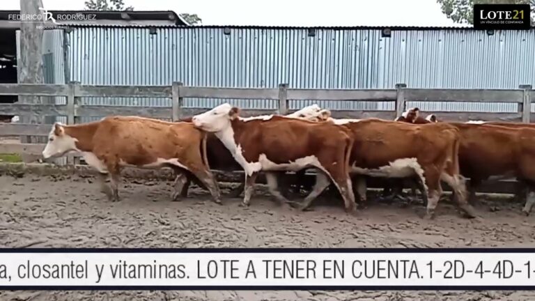 Intranet Chihuahua: La Soluci&oacute;n Digital para tu Empresa