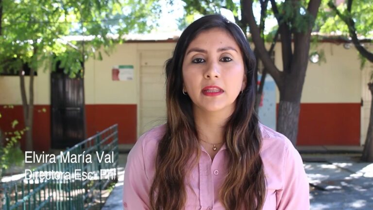 5 Fondos Esenciales para el Regreso a Clases