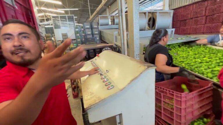 Gu&iacute;a de Bolsa de Trabajo en Apatzing&aacute;n: Encuentra Empleo R&aacute;pidamente