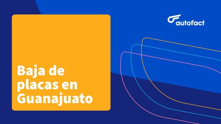 Todo sobre la Tarjeta de Circulaci&oacute;n en Guanajuato
