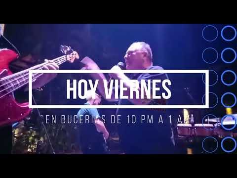 Explorando Elektra Bucer&iacute;as: Tu Gu&iacute;a Completa